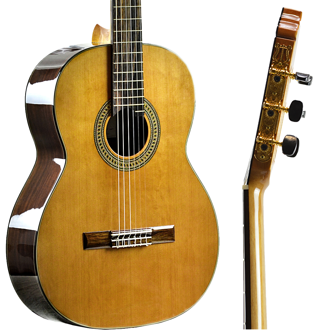 Antonio Giuliani CL-6 Rosewood Classical Guitar - Antonio Giuliani