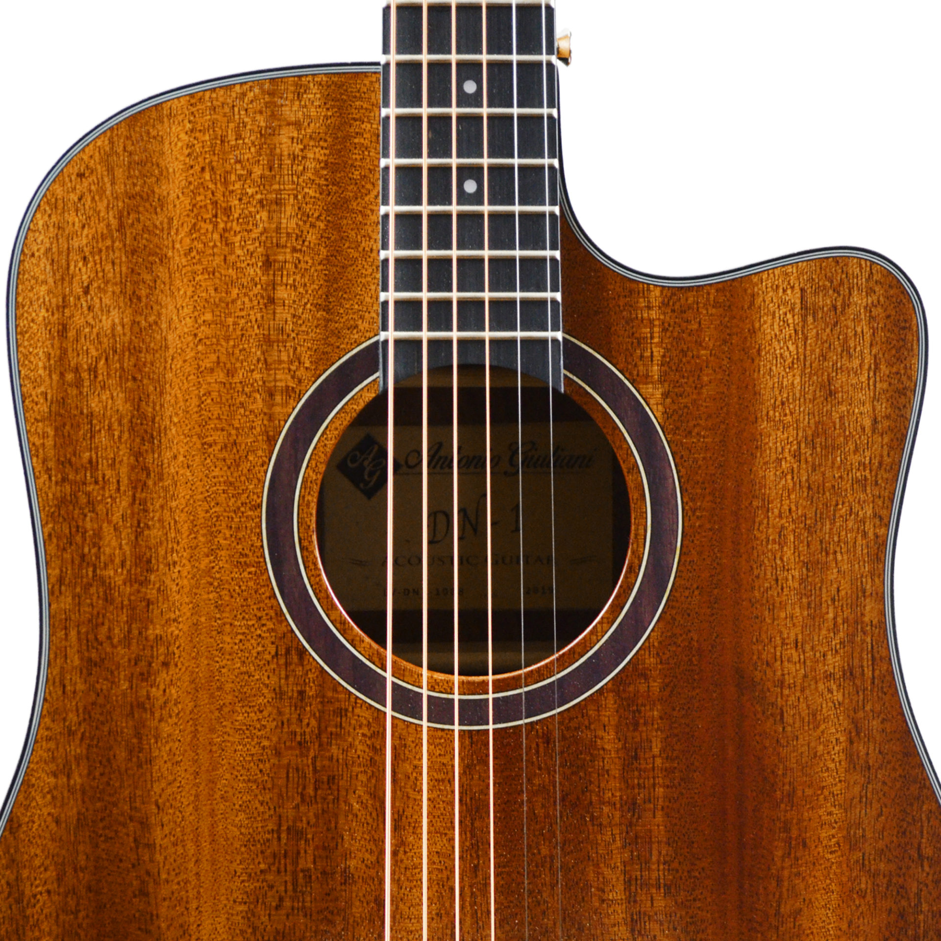 Giuliani DN-1 Soundhole
