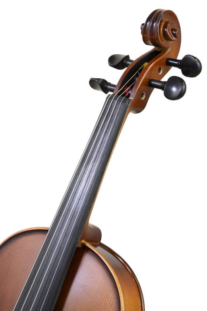 The Neck of the Etude Student Violin